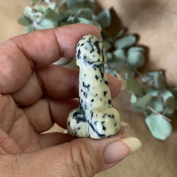Dalmatian Jasper Mr. Peen - Picture 4 of 5